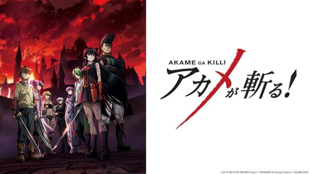 Akame ga Kill! 35 Best Action Anime to Watch