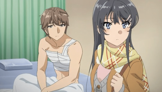 Rascal Does Not Dream of a Dreaming Girl Best Romance Anime